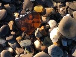 Shiny Beach Glass